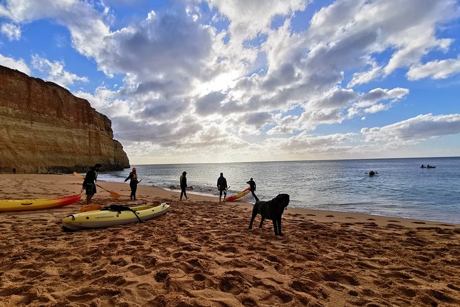 Benagil Cave - Sunrise or Sunset Kayak Tour (Small groups) - Price and Value: Is $48.39 Worth It?