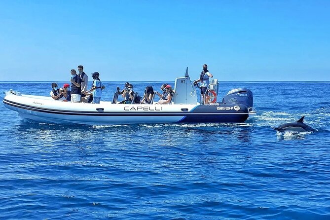 Benagil Caves Visit with Dolphins Watching from Albufeira - Coastline Views First, Then Benagil Cave