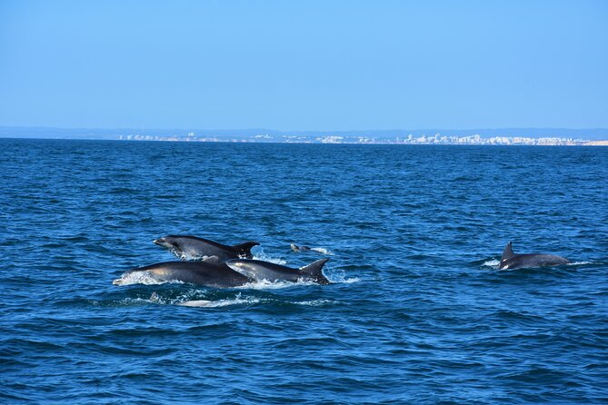 Benagil Caves Visit with Dolphins Watching from Albufeira - Alfanzina Lighthouse Area and the Largest Cave Under It