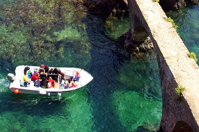 Berlenga Island Small-Group Day Trip from Lisbon - Berlengas Nature Reserve walk: wildlife and coastal ecology at island scale