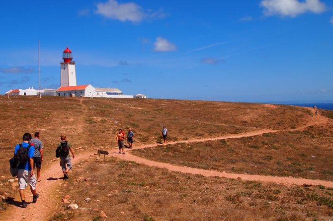 Berlenga Island Small-Group Day Trip from Lisbon - Lunch on the coast: plan for food, tide, and limited shade