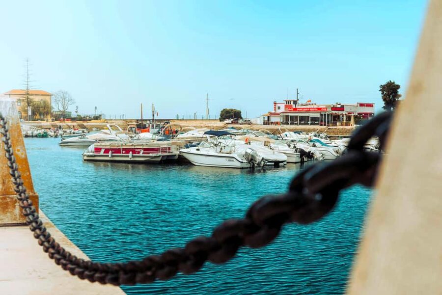 Best of the East: Day Trip to Faro, Olhão, Tavira, & more - Tavira on foot: Roman bridge views, churches, and cobbled streets