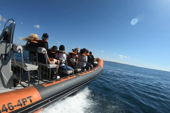 Boat trip to the caves of Benagil - Dolphin Chances and How the Crew Finds Tight Cave Angles