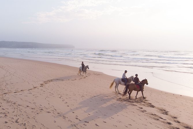 Bordeira Beach - Horse Riding Tour at Sunset - Why Bordeira Beach sunset riding is such a good Algarve experience
