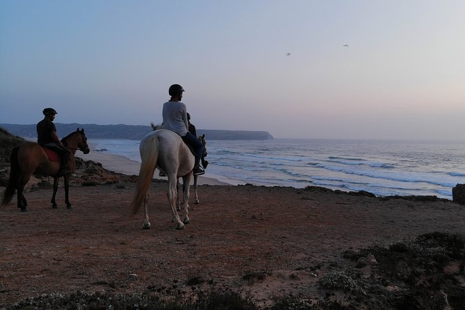 Bordeira Beach - Horse Riding Tour at Sunset - The start in pine trees and a mystic-feeling forest path
