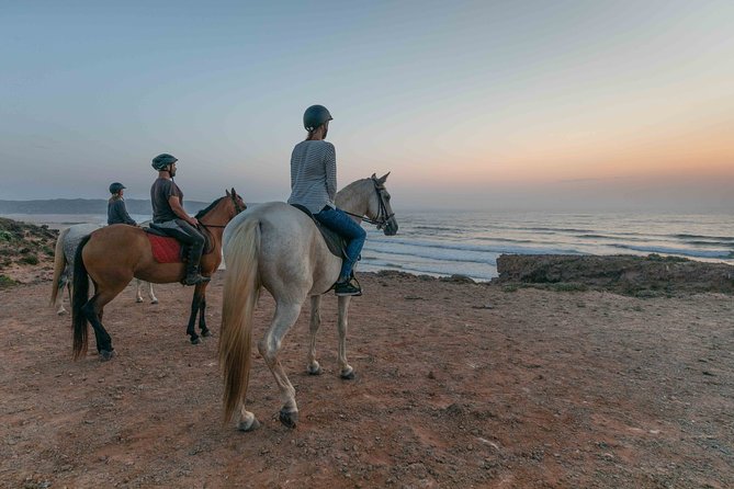 Bordeira Beach - Horse Riding Tour at Sunset - Riding on the beach: sand, horizon, and the best kind of effort