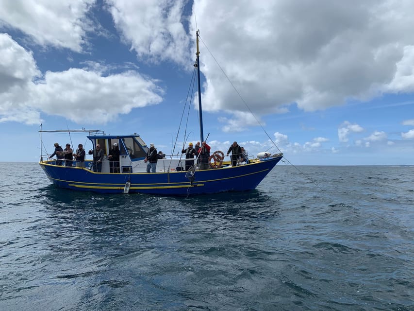 Bottom Fishing Lagos - Who this trip is best for, and who should choose differently