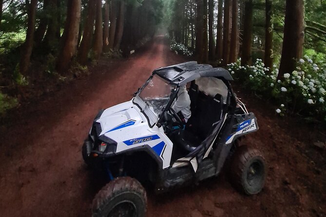 BUGGY TOUR - West / Center of the island (off-road) - The 2.5-hour ride: what the stops feel like in real life