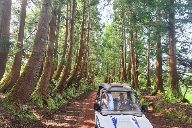 BUGGY TOUR - West / Center of the island (off-road) - Who should book this buggy tour, and who might skip it