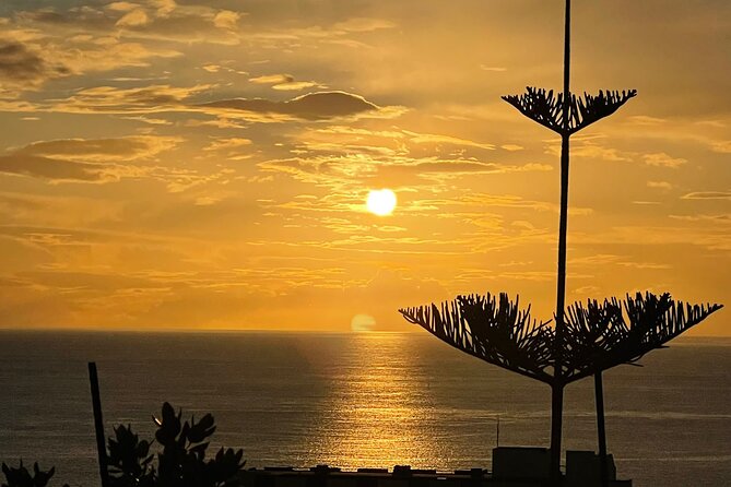 CABO GIRÃO (Half Day tour/3h) / Private Classic Car (4L). - A private Renault 4L tour that actually fits Madeira