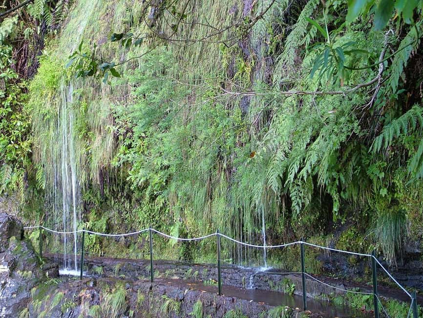Caldeirão Verde: Levada Caldeirao Verde Hiking Transfer - Queimadas levada walking: Laurissilva forest, green views, and waterfall moments