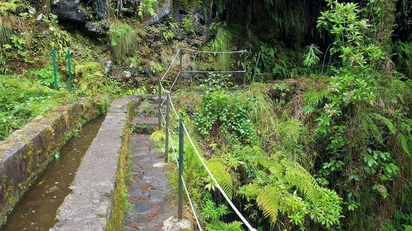 Caldeirão Verde: Levada Caldeirao Verde Hiking Transfer - Timing and IFCN ticket timeslot, why the early pickup is worth it