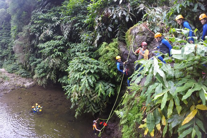 Canyoning Experience at Ribeira Grande - The warm-up trail in the rainforest: getting your legs ready
