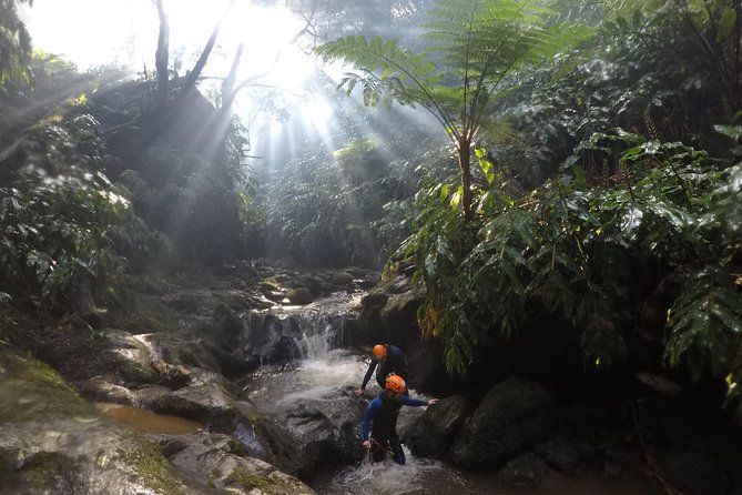 Canyoning Experience at Ribeira Grande - Rappelling down the canyon: the core skill you’ll remember