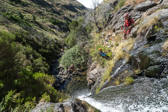 Canyoning in Madeira: Ideal for Beginners and Families - Price and value, what $80.45 covers