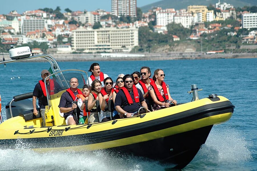 Cascais: Dolphin Watching Speedboat Tour - Who Should Skip It (and Who Will Love It)