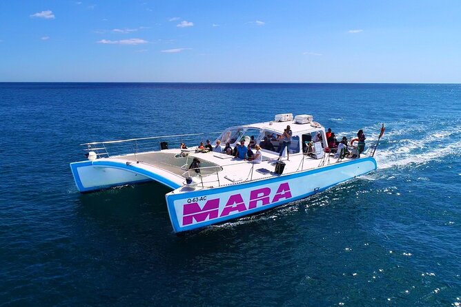 Catamaran Cruise: Caves and Coastline to Benagil - Value check: does $36.30 feel fair?