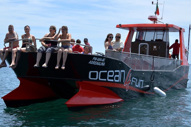 Catamaran Tour to Benagil Caves - Quick highlights you should know