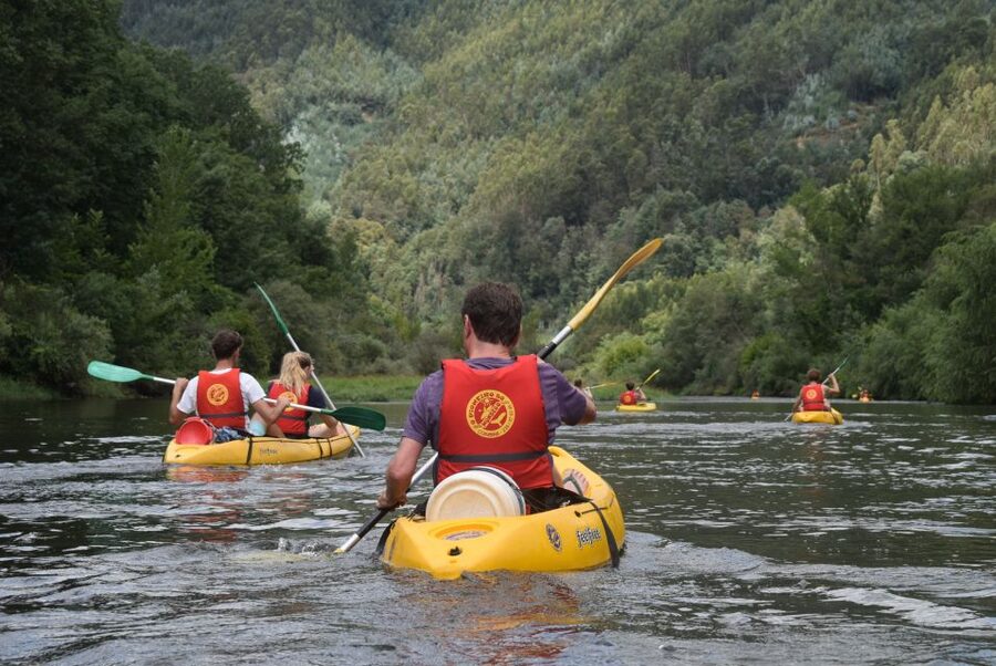 Coimbra: Mondego River Kayaking Tour - Gear, safety, and those “wait, what do I do here?” moments handled for you