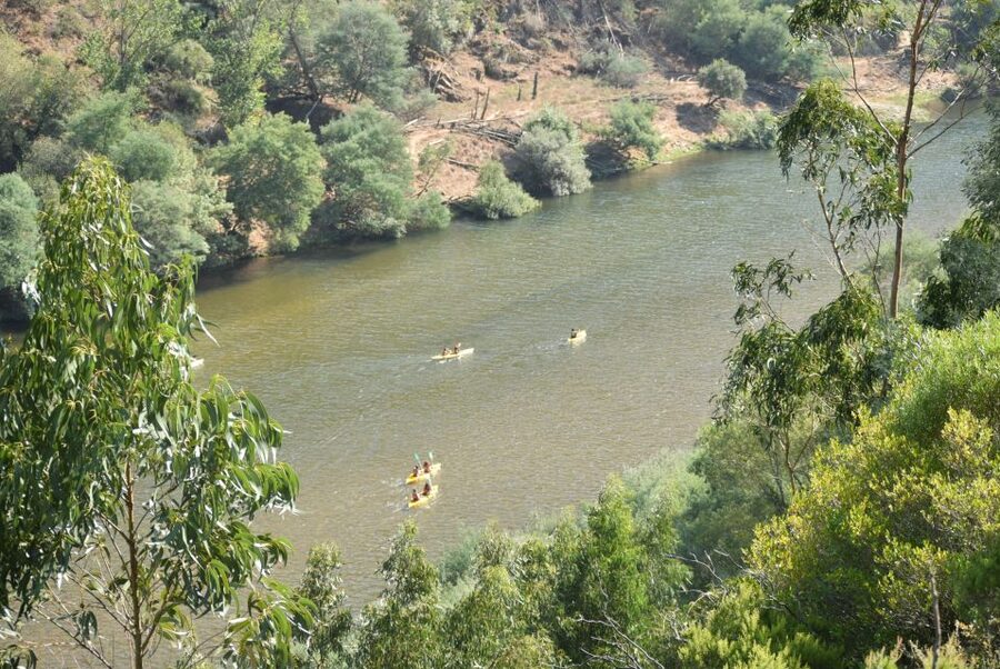 Coimbra: Mondego River Kayaking Tour - Should you book the Mondego kayaking with O Pioneiro do Mondego?