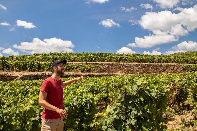 Complete Douro Valley Wine Tour with Lunch, Wine Tastings and River Cruise - Key Points Worth Knowing Before You Go