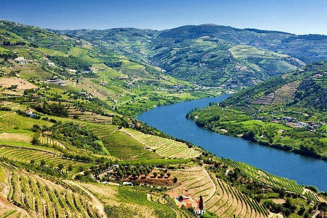 Complete Douro Valley Wine Tour with Lunch, Wine Tastings and River Cruise - Pinhão Rebelo Cruise: The Part You Will Remember