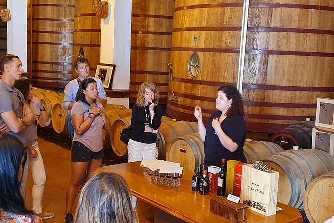 Complete Douro Valley Wine Tour with Lunch, Wine Tastings and River Cruise - Estrada Nacional 222 Views on the Way Back