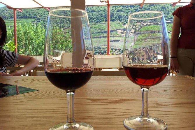 Complete Douro Valley Wine Tour with Lunch, Wine Tastings and River Cruise - Two Wine Estates Plus a Cruise Is Solid Value for Wine Country