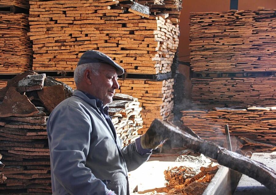 Cork Factory Tour - Quick cork-tour highlights at a glance