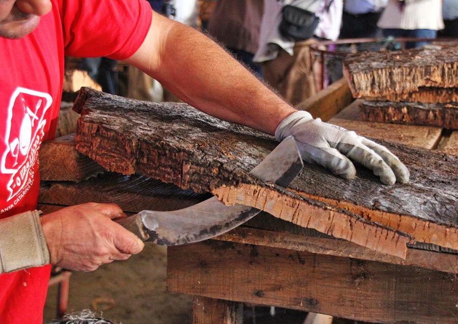 Cork Factory Tour - Cork oak country near São Brás de Alportel
