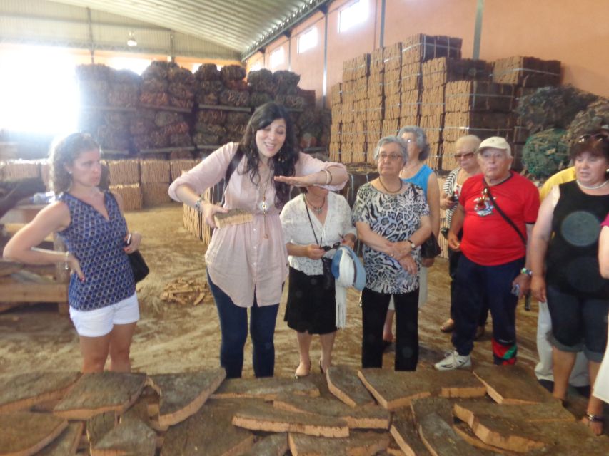 Cork Factory Tour - Price and value: a $20 lesson with transportation baked in