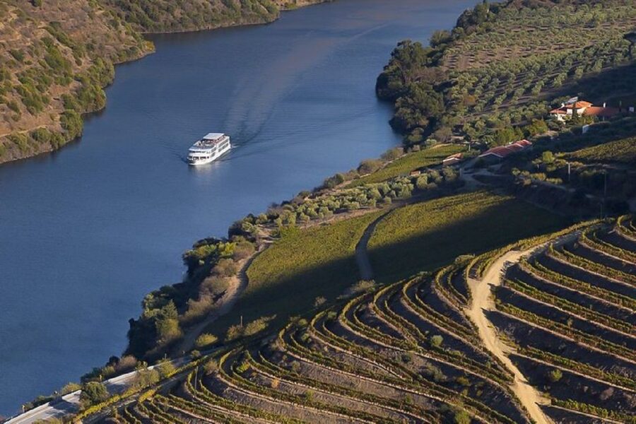Day Cruise from Porto to Pinhão with Breakfast and Lunch - Why This Douro Cruise Feels Smarter Than Trying to DIY It