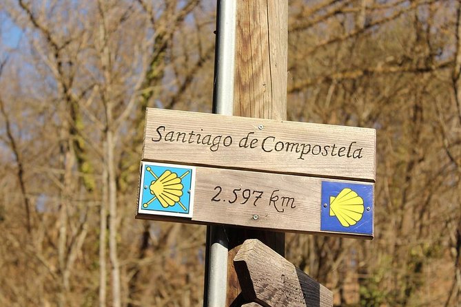 Day Trip from Porto to Santiago de Compostela and Valença - Santiago Orientation: Arriving With Camino Meaning, Not Just Map Spots