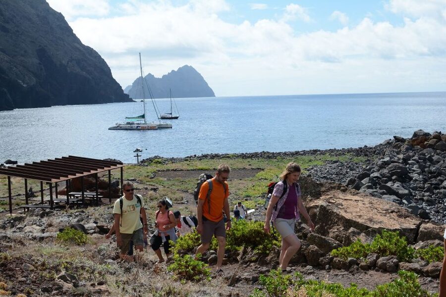 Desertas Islands Full-Day Catamaran Trip from Funchal - The Open-Water Cruise: When Whales and Dolphins Show Up