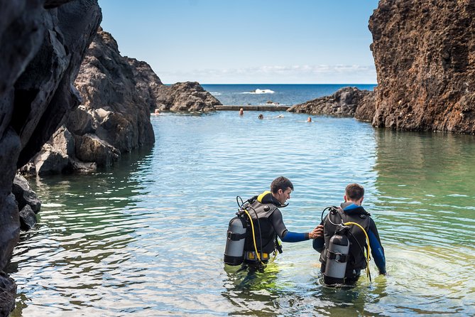 Diving in the Madeira Aquarium - Aquário da Madeira, Porto Moniz: what makes this feel different