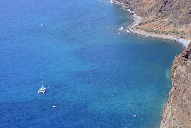 Dolphin and Whale Watching Catamaran Cruise from Funchal - What the crew tells you during the cruise