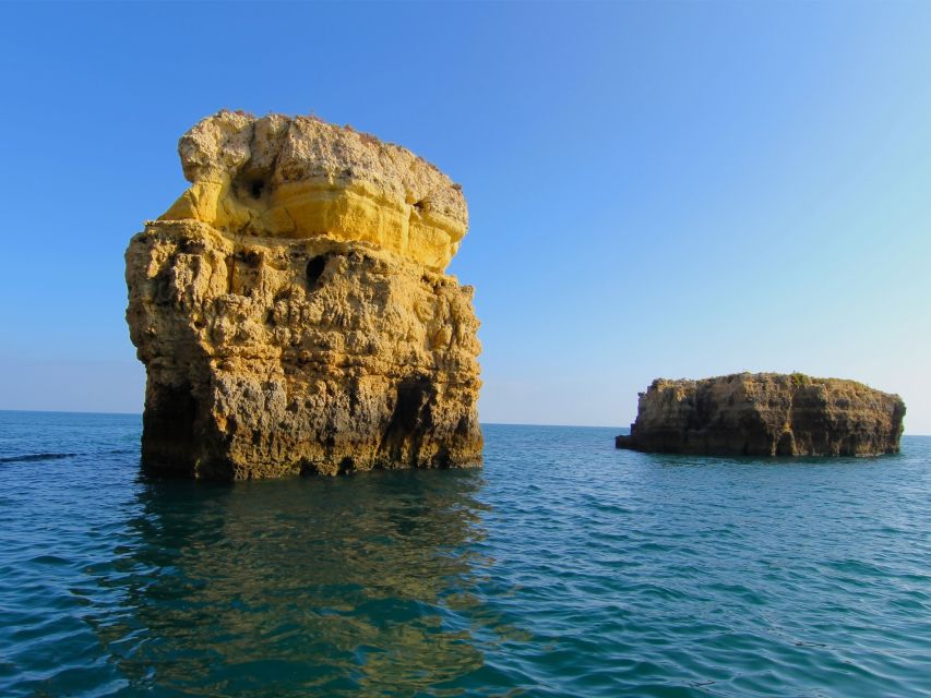 Dolphin Safari and Cave Tour in Vilamoura - Price and value: is $47 per person a smart Algarve buy?
