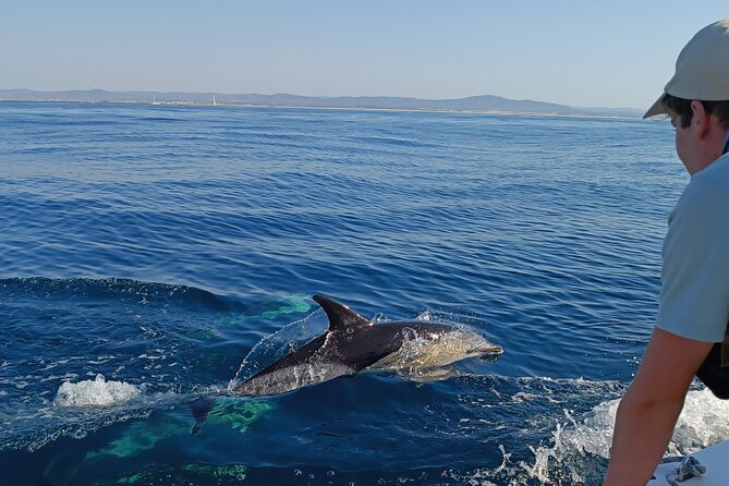 Dolphin Watching + 2 Islands Tour - From Faro - Key highlights to know before you go