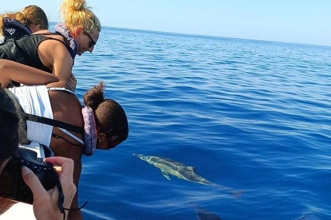 Dolphin Watching + 2 Islands Tour - From Faro - Who should book this, and who should skip it