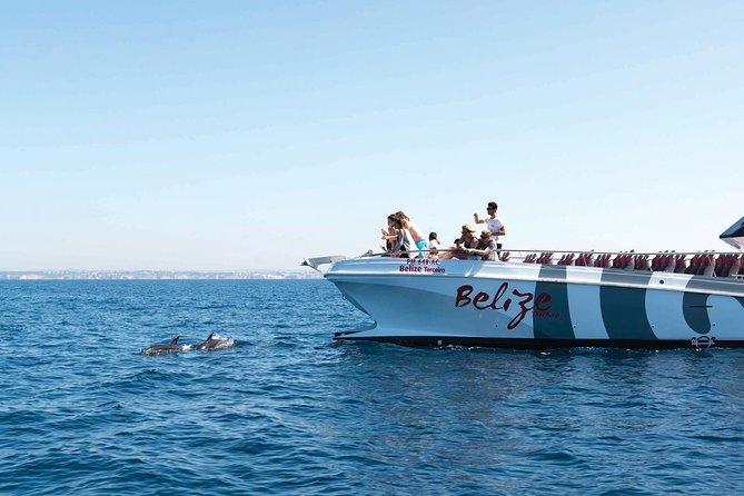 Dolphin Watching and Cave Boat Cruise from Albufeira - Quick hits before you book