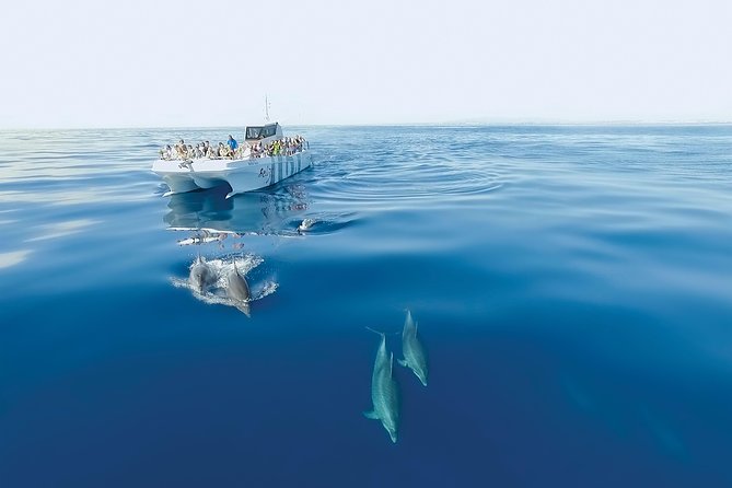 Dolphin Watching and Cave Boat Cruise from Albufeira - Boat comfort, seat placement, and what to wear for real conditions