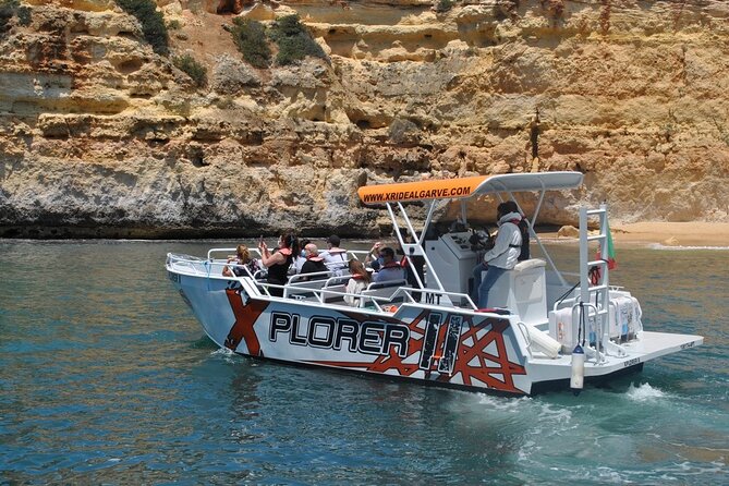 Dolphin Watching and Caves Cruise - Who This Trip Fits Best (and Who Should Skip It)