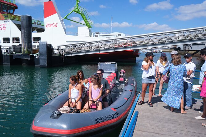 Dolphin watching in Setúbal - Dolphin watching in Setúbal: why the Sado is the star