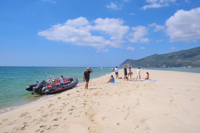 Dolphin watching in Setúbal - The boat reality check: small-boat charm vs comfort tradeoffs
