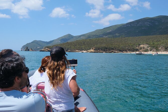 Dolphin watching in Setúbal - Guides and animal respect: what the crew seems to do well
