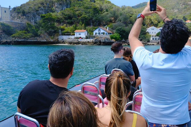 Dolphin watching in Setúbal - Value for the price: getting your money’s worth on a wildlife cruise