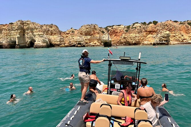 Dolphins & Benagil Caves with Biologist guide - Seabirds along the way: a bonus you can spot fast
