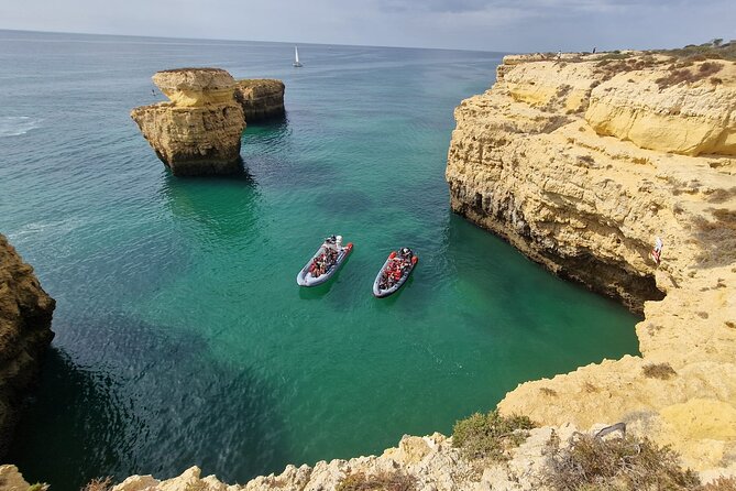 Dolphins Search and Benagil Caves from Albufeira - Dolphin sightings: what to expect and how to stay realistic