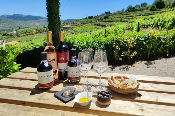 Douro Tour with Wine Tasting, River Cruise and Visit to Lamego - A Douro day that feels organized, not rushed