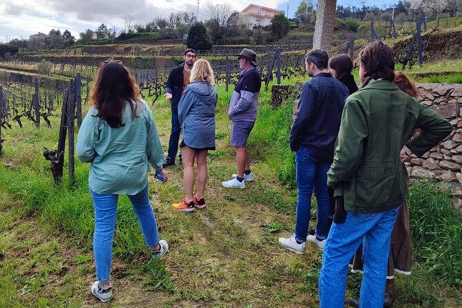 Douro Tour with Wine Tasting, River Cruise and Visit to Lamego - Pinhão and the Rabelo boat cruise: the calm part of the day